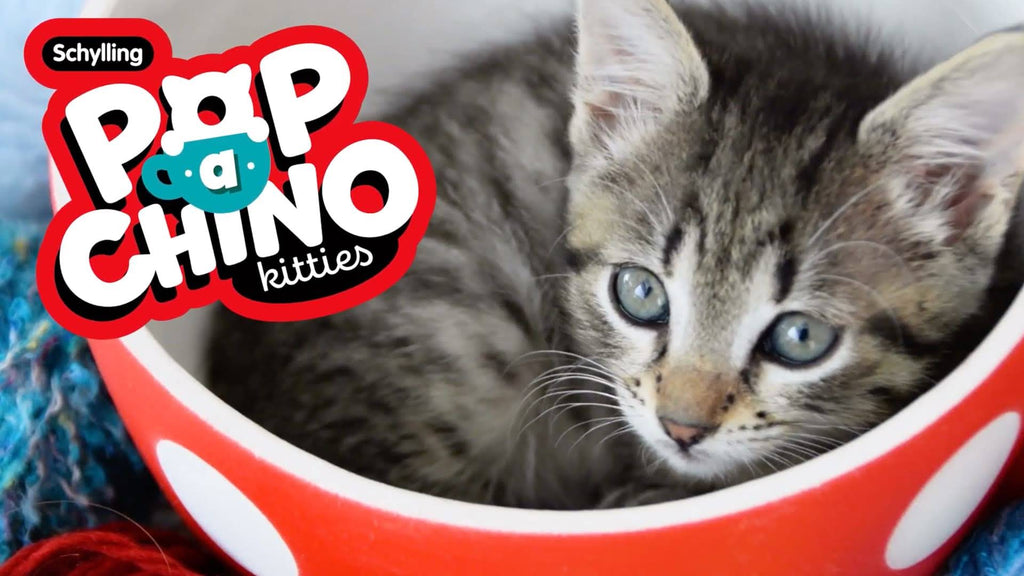 Pop-a-chino Kitties