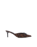 YORKIE - LEOPARD
