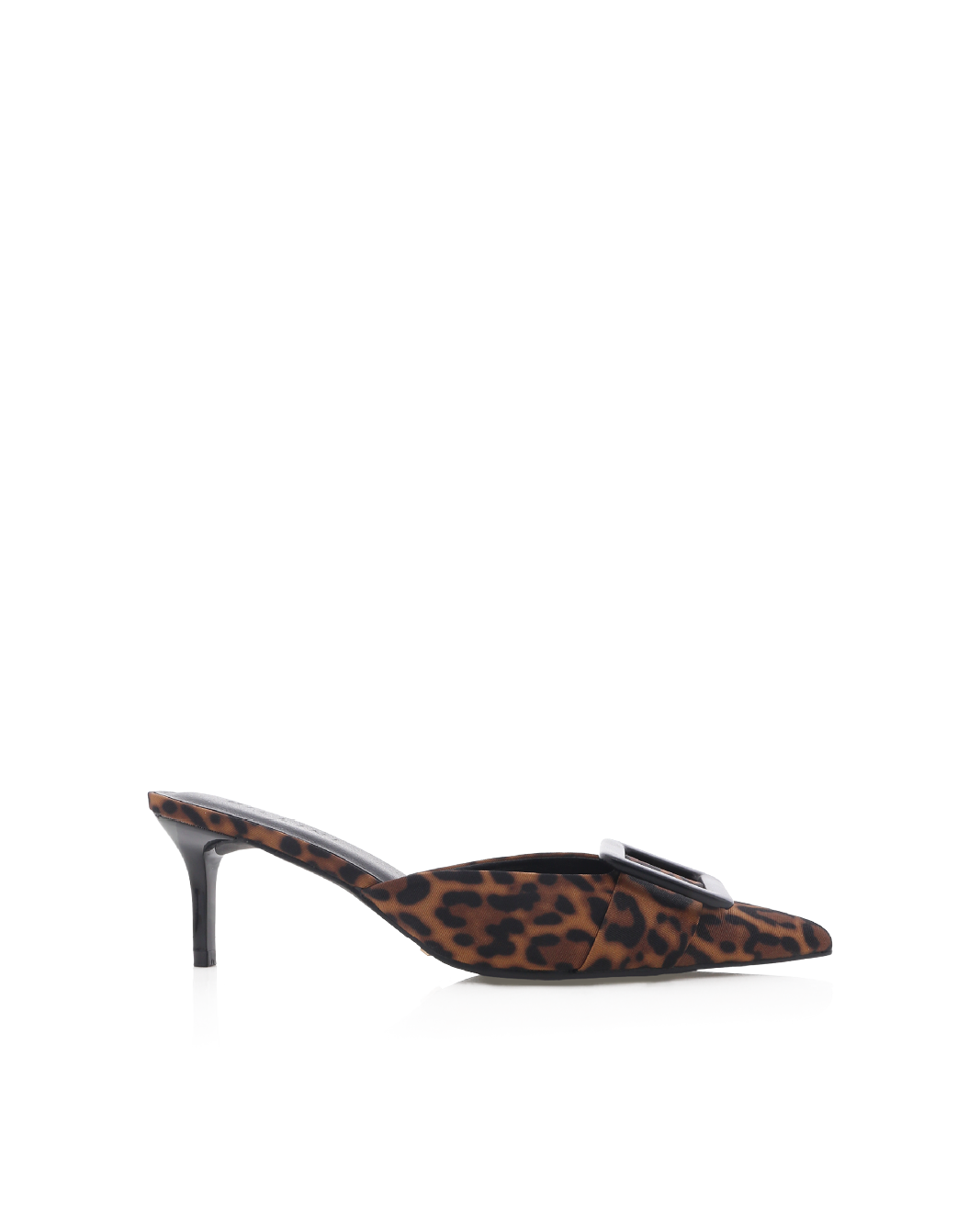 YORKIE - LEOPARD