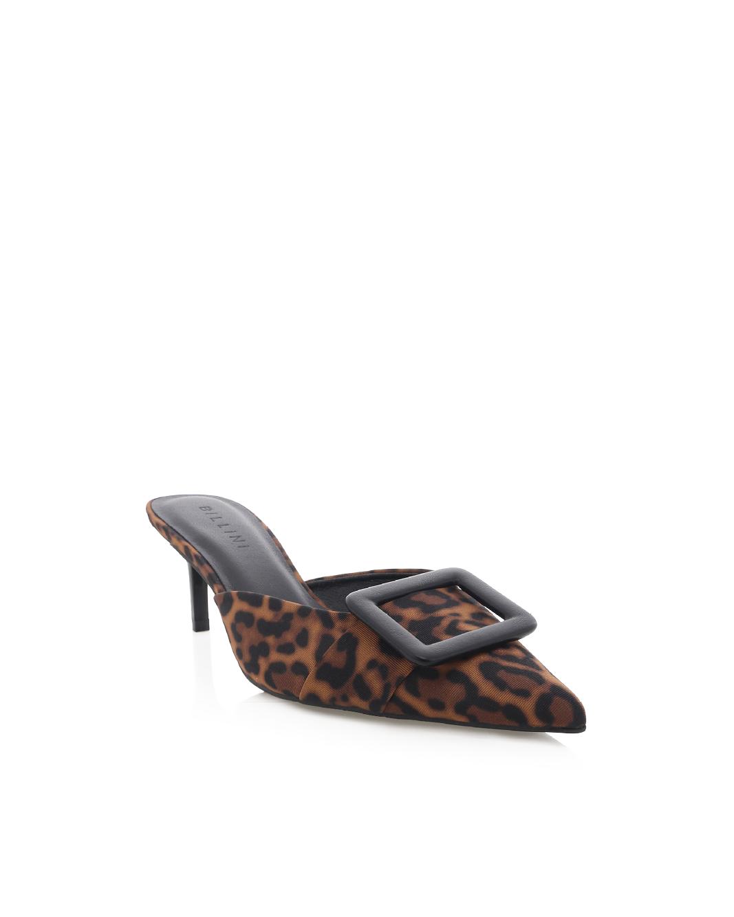 YORKIE - LEOPARD